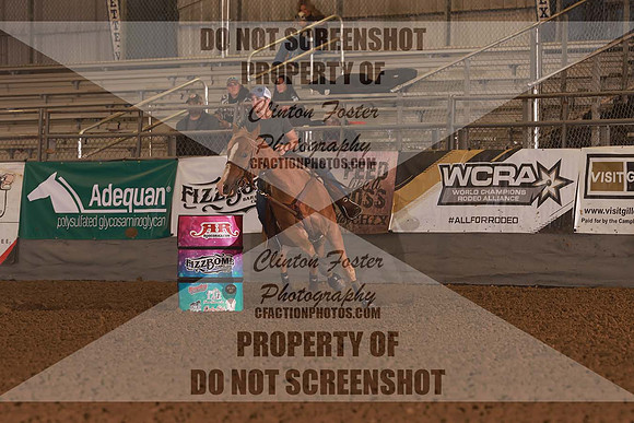 FIZZ0991