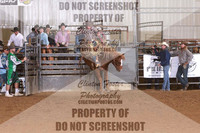 Saddle Bronc