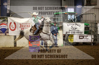 Rodeo 2