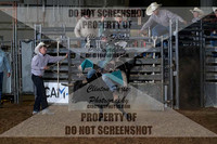 DSC04424
