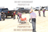 Team Roping