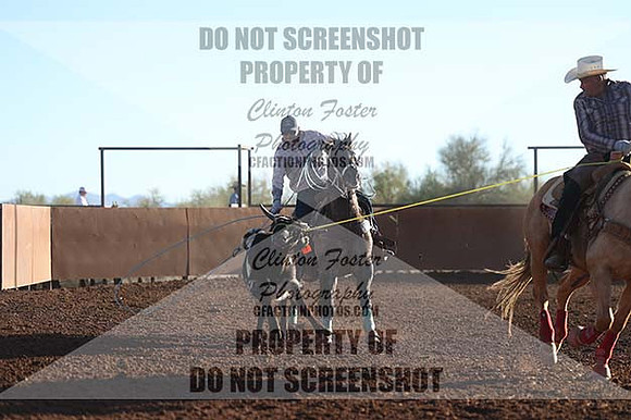 1P5A1217