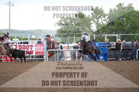 Team Roping