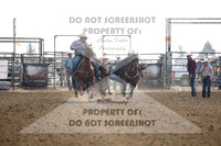 Steer Wrestling