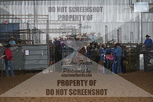 DSC06381