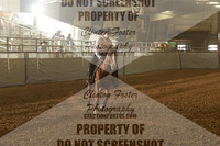 reining cow horse