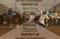 steer wrestling