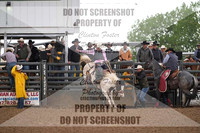 Broncs