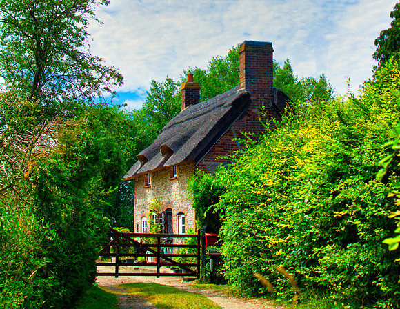 lawrence-hookham-oQV67M_9ctc-unsplash