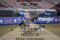 DSC03803