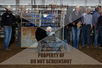 Chute Dogging Rodeo 2