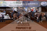 B82A8542