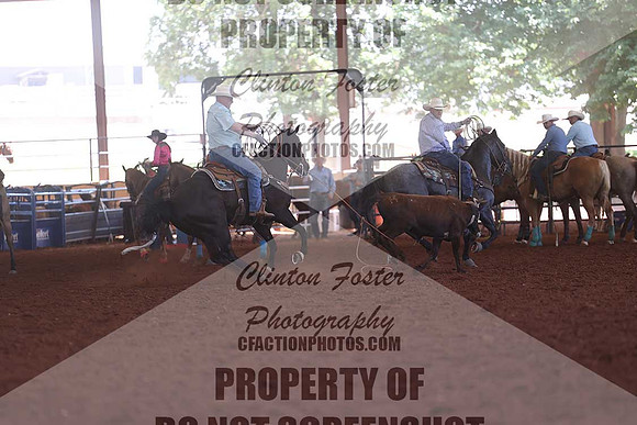 1P5A1105