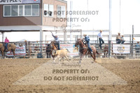 Team Roping