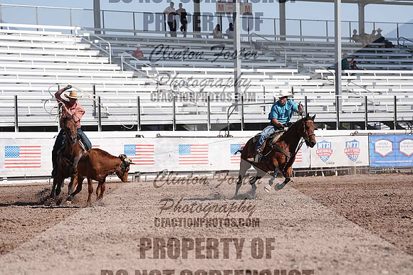DSC03381