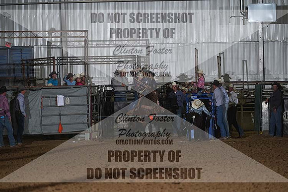 DSC07704