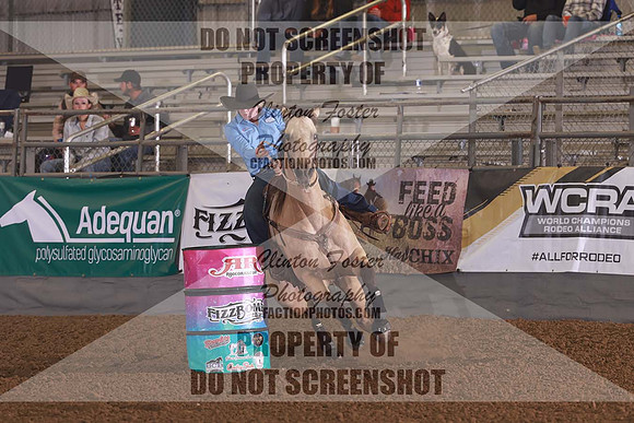 FIZZ7176