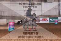 FIZZ8514