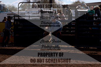 Bares Broncs & Bulls