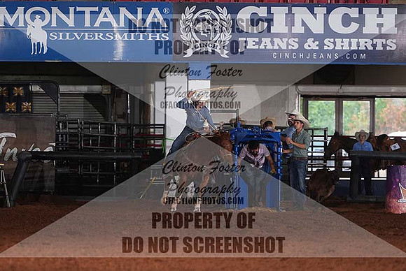 DSC06331