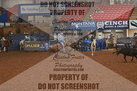 LEXI2699