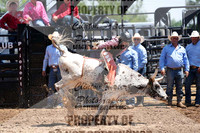 SR Steer Riding