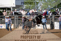 Saddle Bronc