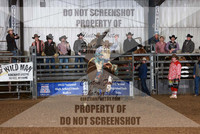 Saddle Bronc