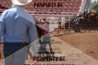 B82A1517