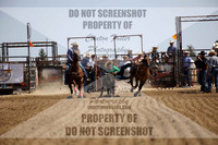 Steer Wrestling