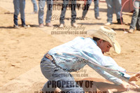 Calf Tying