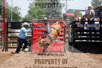 JR Steer Riding