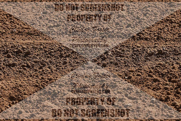 B82A0865