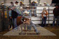 Rodeo 2