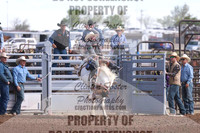Broncs
